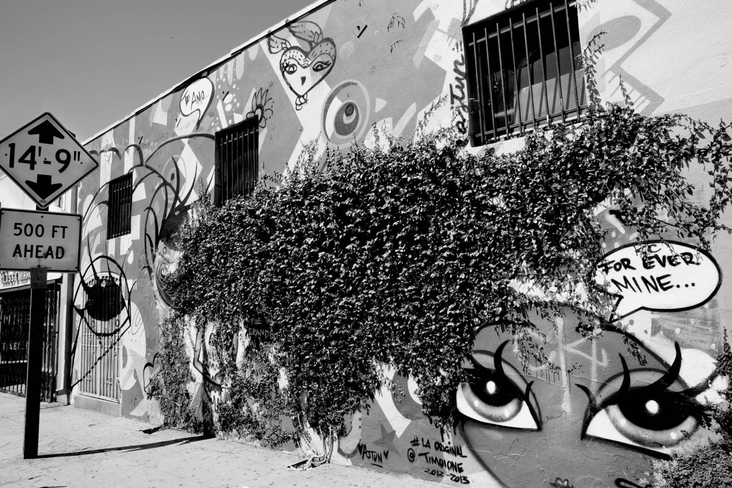 Hollywood Street Art