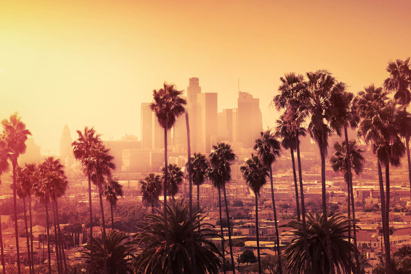 Hollywood Sunset